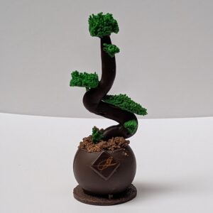 bonsaï en chocolat artisanal Guillemard Création
