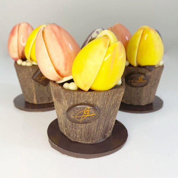 Tulipes en chocolat