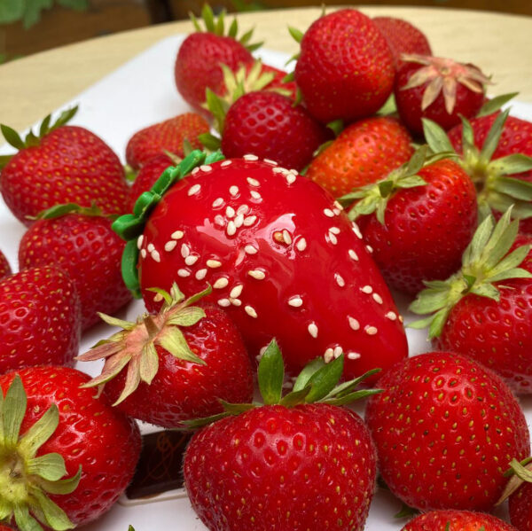 fraise-en-trompe-loeil