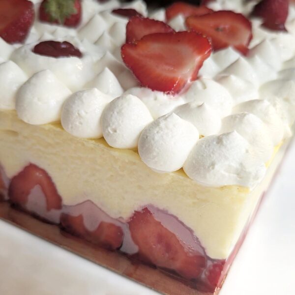Fraisier XXL