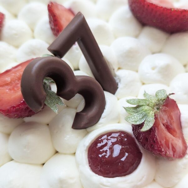 Fraisier XXL