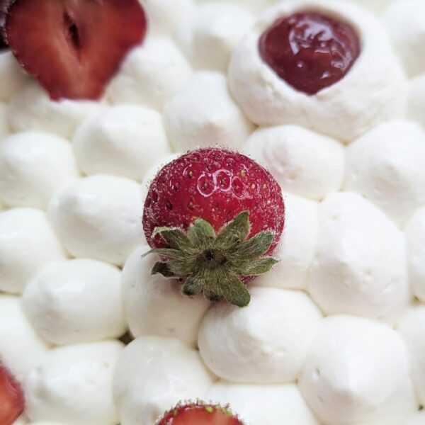 Fraisier XXL