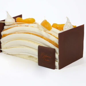 Bûche Glacée Mathis SANS GLUTEN