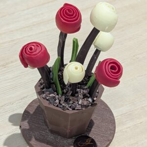 Jardin Gourmand en Chocolat